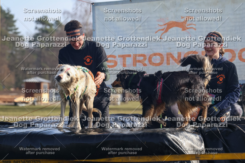 Dog Paparazzi - Strongdog North Mrz26-736 | Dog Paparazzi Jeanette Grottendiek Fotografie & Videografie - Realisiert mit Pictrs.com