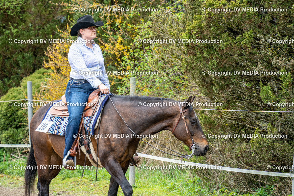 BAL00724 | dv-media-shop - Realisiert mit Pictrs.com