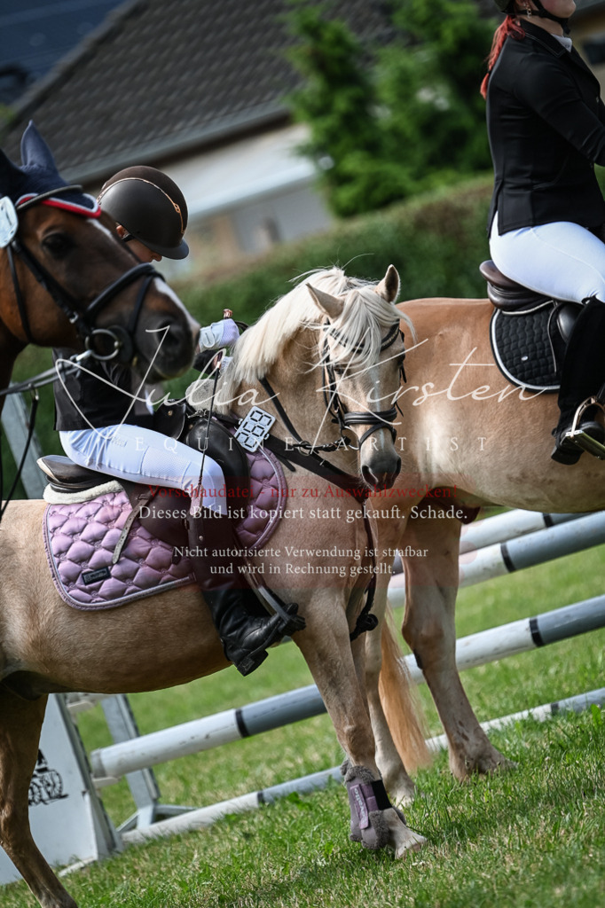 DSC_8679 | Pferde- und Turnierfotografie in Westsachsen. Pferdeportraits, Auftragszeichnungen und intuitive Kunst.