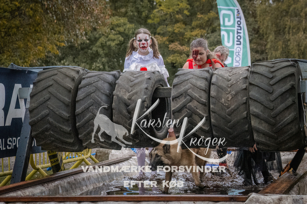 1657_ZZ94483 | kk-dogfotos