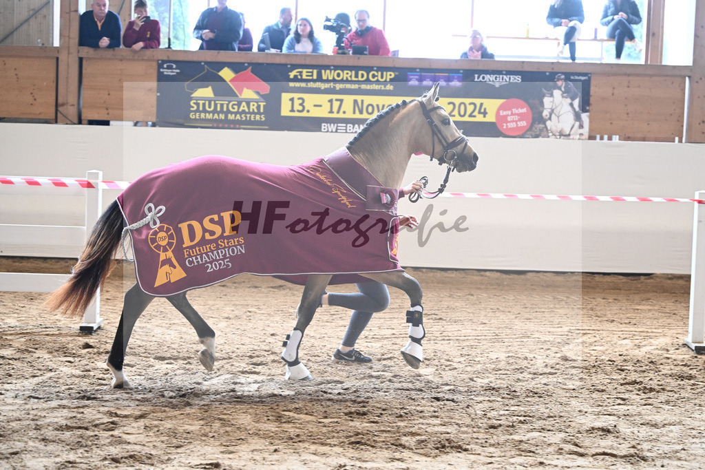 Kat-Nr. 7 Magnus HL v. Mescal_ZG Donau-Ries_7250978 | hf-fotografie - Realizzato con Pictrs.com