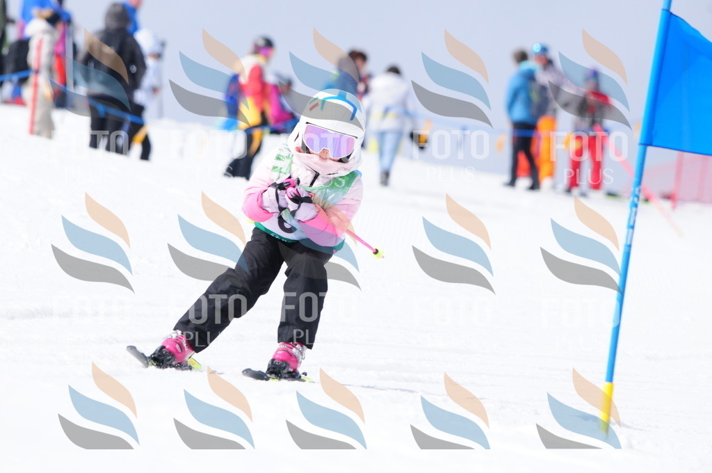 A3625 | holidayphoto