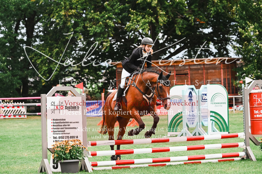 DSC_5931 | Pferde- und Turnierfotografie in Westsachsen. Pferdeportraits, Auftragszeichnungen und intuitive Kunst.