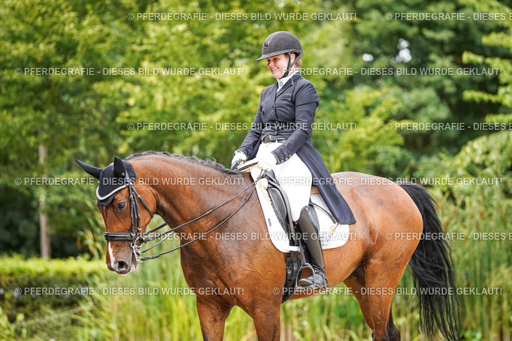 DSC06706 | Pferdegrafie