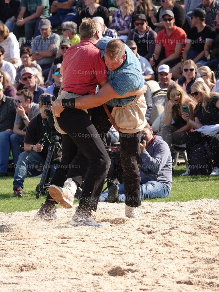 DSC05609 | Schwingen - Realisiert mit Pictrs.com