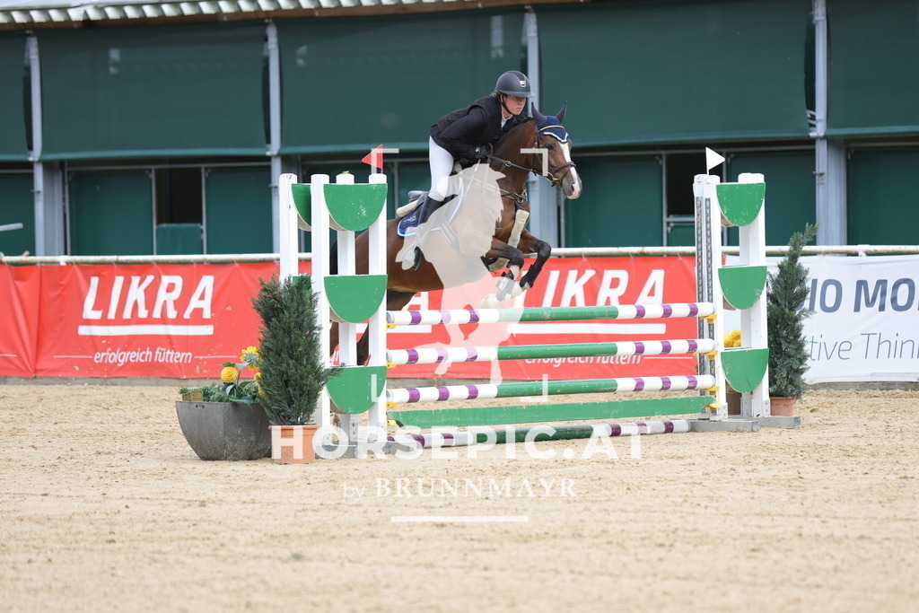 0P6A3414 | Willkommen bei Brunnmayr - Design & Fotografie – Ihrem Spezialisten für Reitturniere und Pferdeveranstaltungen in Oberösterreich, Salzburg und Bayern! Seit über 17 Jahren sind wir leidenschaftlich dabei.