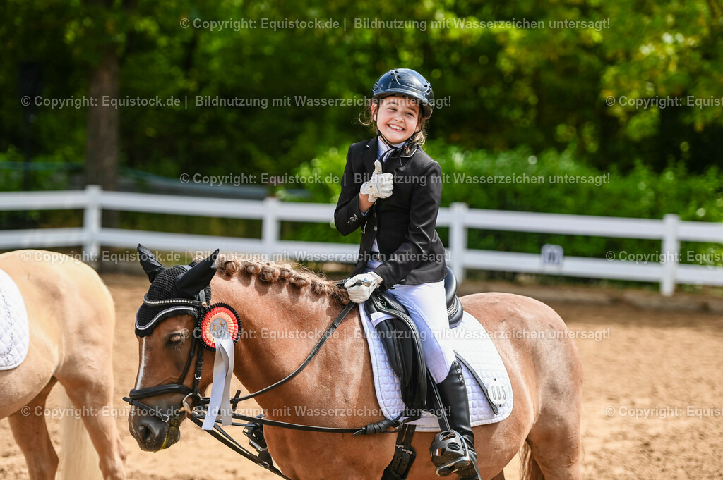 20230716_10-3_Reiter-WB Schritt - Trab - Galopp_0232 | equistock