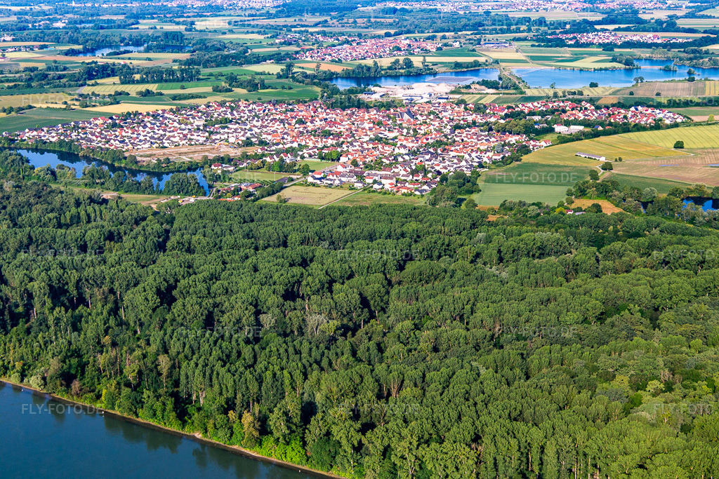 Luftbild: Ortsansicht von Nordosten in Leimersheim im Bundesland Rheinland-Pfalz in Deutschland. Foto: IMG_141803.jpg vom 18.06.2024 durch Werner Riehm/FLY-FOTO.de