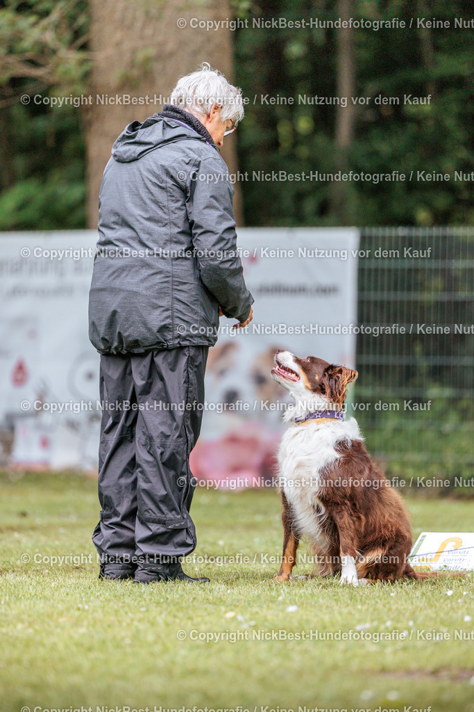 RO-Blumenthal-2026-Nickbest-Hundefotografie-2345 | Dein Hund! Dein Moment! Deine Erinnerungen! Hundefotografie in Bremen Blumenthal. Ich fange die besonderen Momente deines Vierbeiners ein – ob Indoor mit Blitzanlage oder in der freien Natur. Sicher dir dein Moment und dein Termin für eure Erinnerungen.