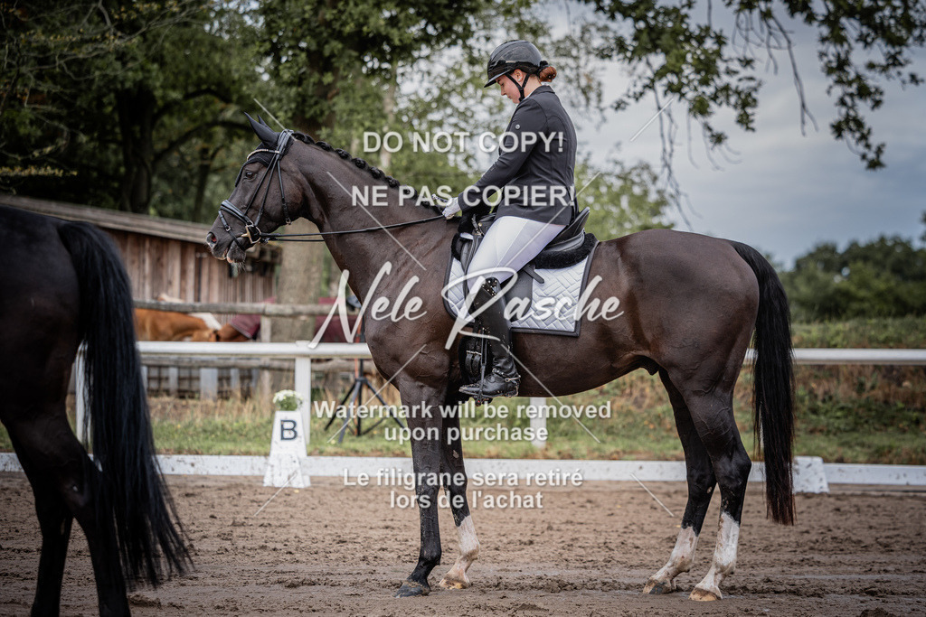 nelerasche_DrEEde_07 | nelerasche