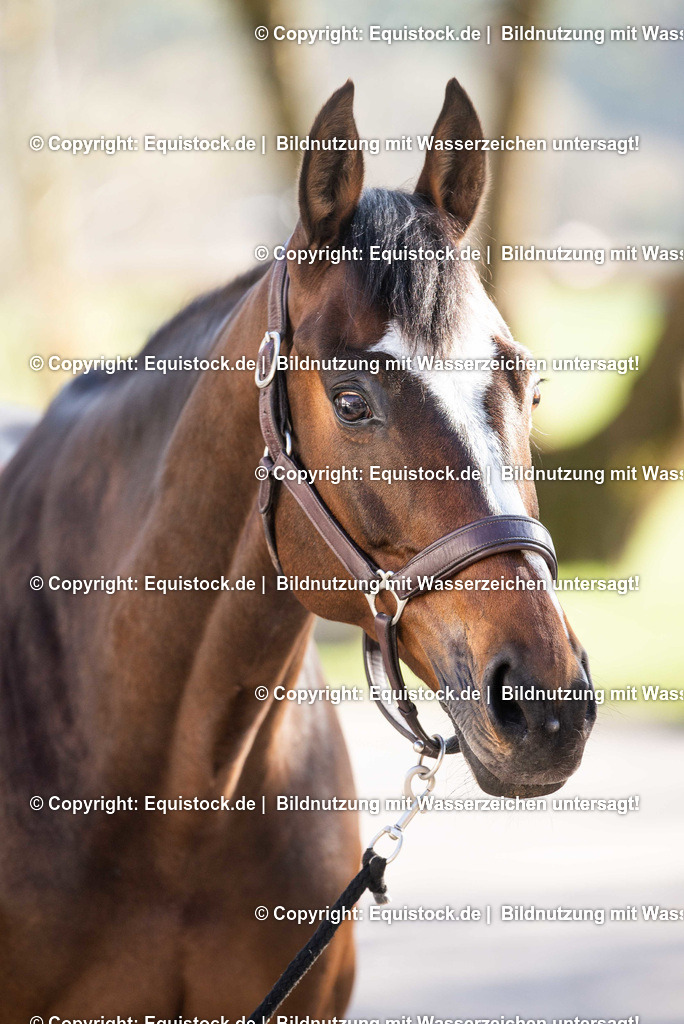 TS_20190319_Fischer_Chelsea_0001 | Foto: Thomas Hartig