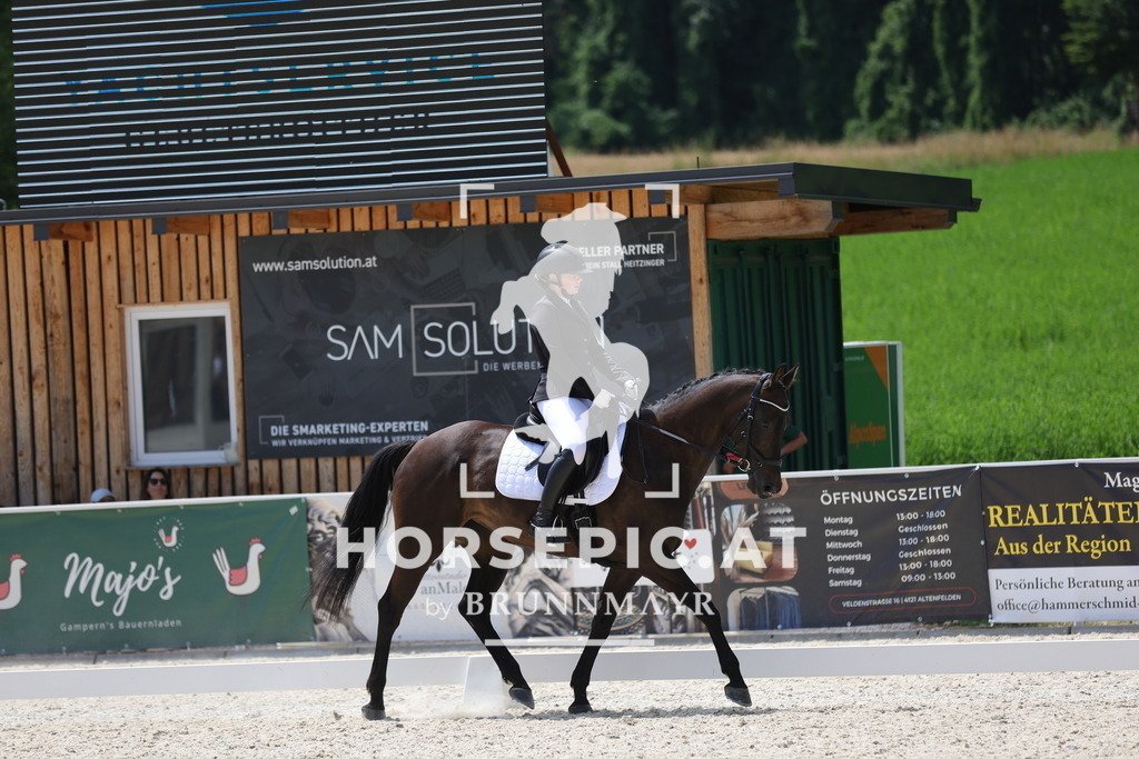 0P6A2270 | Willkommen bei Brunnmayr - Design & Fotografie – Ihrem Spezialisten für Reitturniere und Pferdeveranstaltungen in Oberösterreich, Salzburg und Bayern! Seit über 17 Jahren sind wir leidenschaftlich dabei.