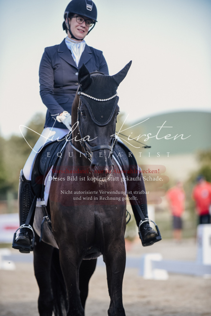DSC_0733 | Pferde- und Turnierfotografie in Westsachsen. Pferdeportraits, Auftragszeichnungen und intuitive Kunst.