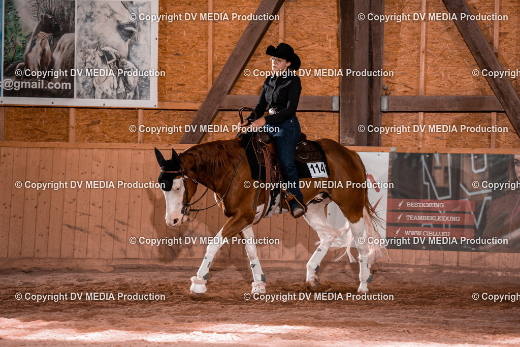 NE100931 | dv-media-shop - Realisiert mit Pictrs.com