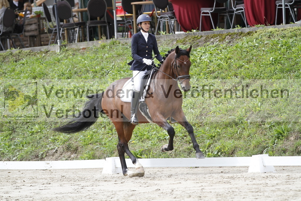 _MG_4328 | equestrian-live-com