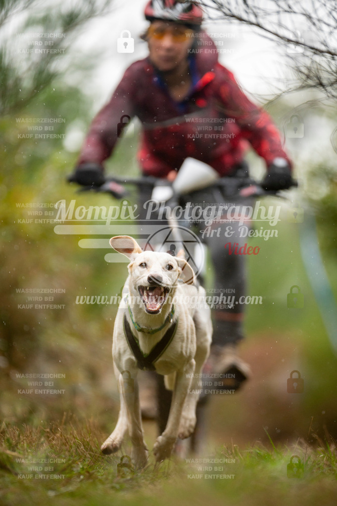 TSB_2023_E5_Bike-42 | PayLife