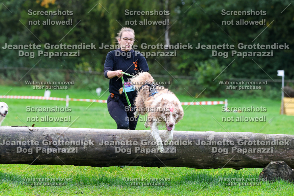 Dog Paparazzi -  SD1026-1099 | Dog Paparazzi Jeanette Grottendiek Fotografie & Videografie - Realisiert mit Pictrs.com