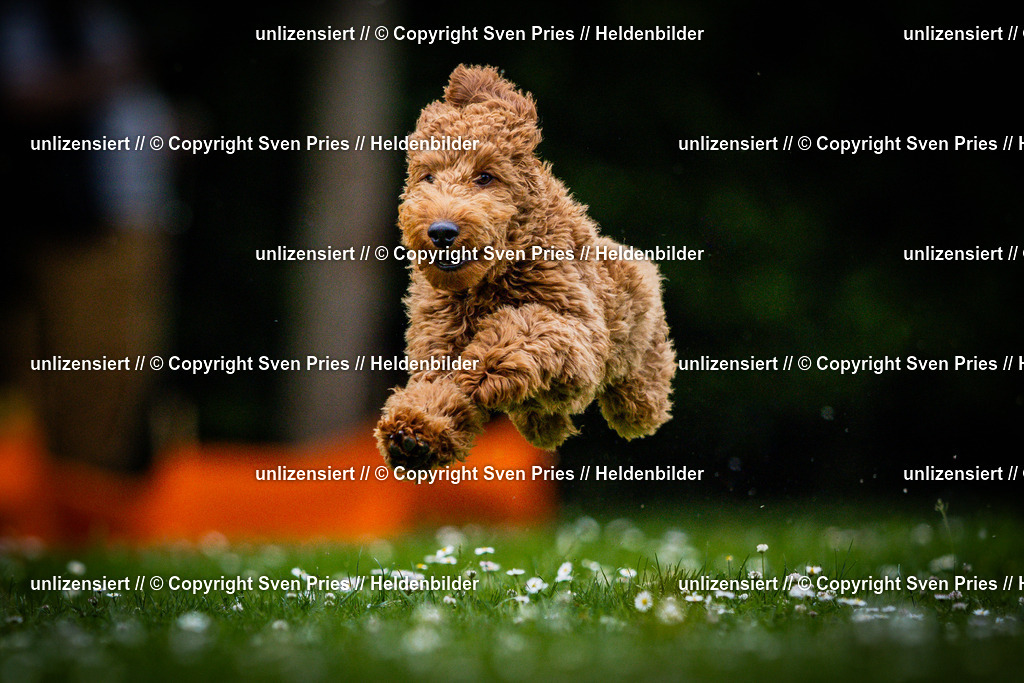 Sven Pries | 2025-05-29 - Pudelrennen KA-Durlach - Realisiert mit Pictrs.com