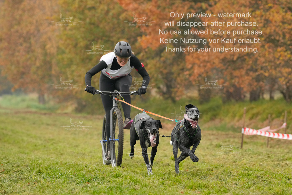 Visbeck_Sa_DS2DR2-41 | stephaniefillaphotographie - Realisiert mit Pictrs.com