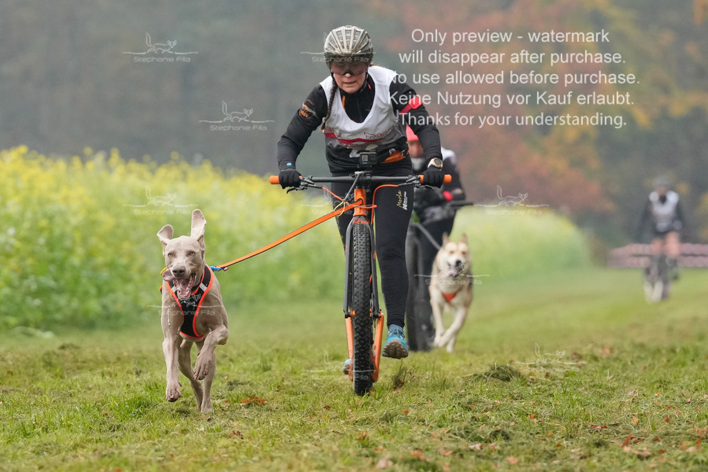 AusschnitteSa-38 | stephaniefillaphotographie - Realisiert mit Pictrs.com