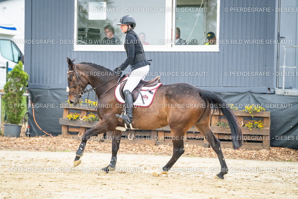 DSC00632 | Pferdegrafie