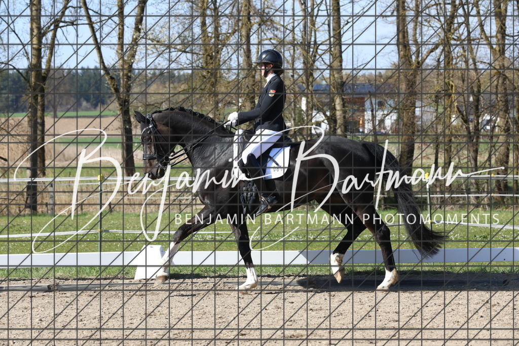 AZ2A6211 | Benjamin Bartmann Photomoments