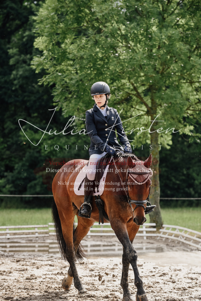 DSC_9646 | Pferde- und Turnierfotografie in Westsachsen. Pferdeportraits, Auftragszeichnungen und intuitive Kunst.