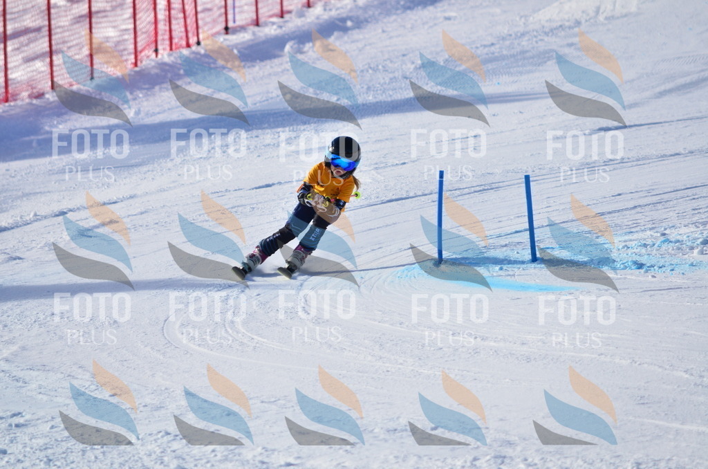 C5986 | holidayphoto