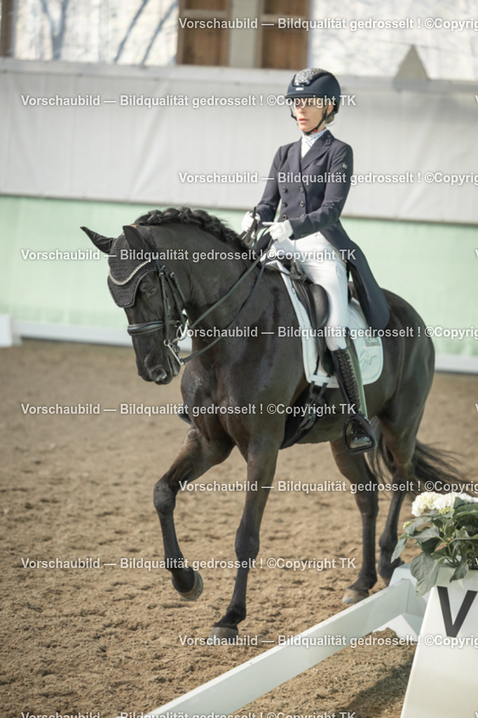 _D5A1108 | Emotionale Pferde- & People-Fotografie rund um Heidelberg, Leimen & Umgebung. Natürliche Fotos von Pferd, Mensch & Familie. Jetzt Termin sichern!