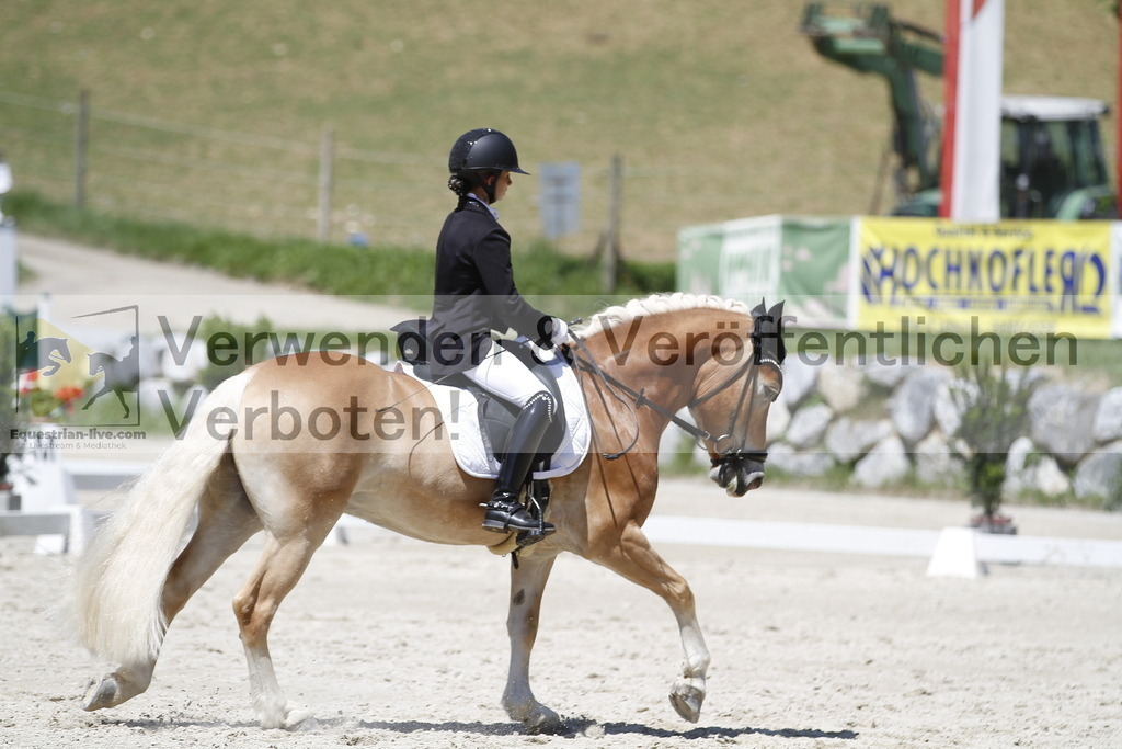 _MG_5012 | equestrian-live-com