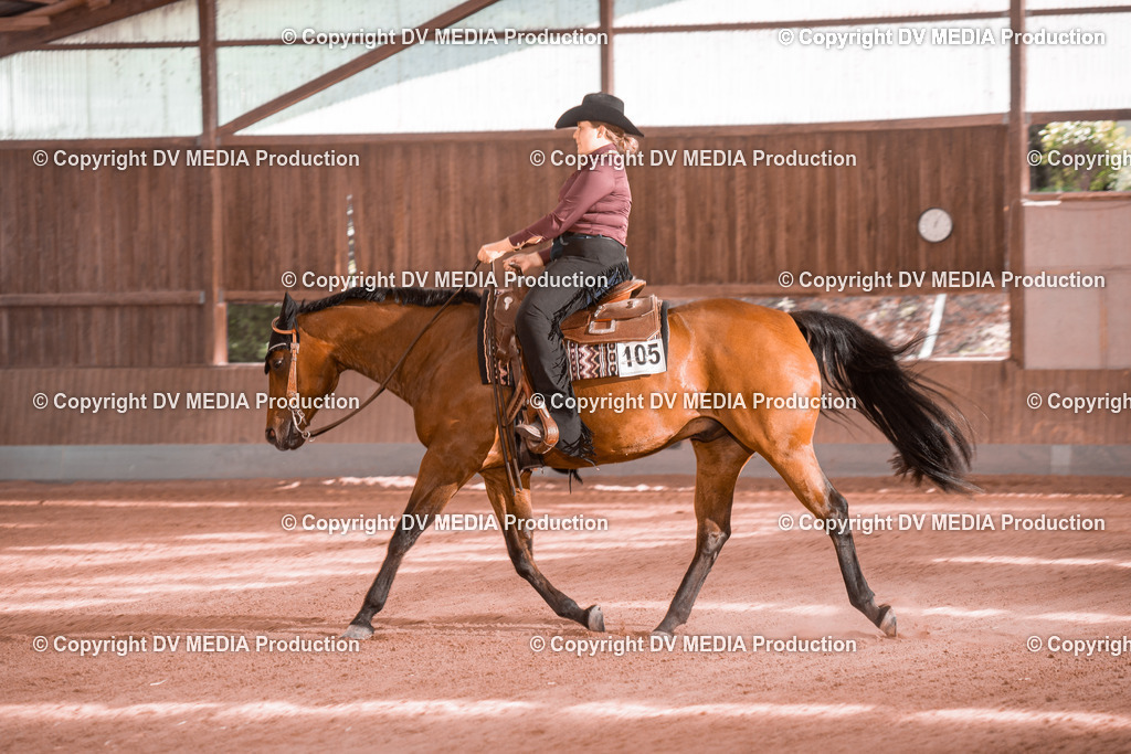 NE300624 | dv-media-shop - Realisiert mit Pictrs.com