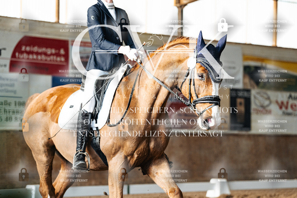 CK903282 | Turnierfotografie Pferdefotografie Trier Rheinland-Pfalz Pferdesport Reitsport Tierfotografie Sportfotografie Pferdevideo Pferdevideografie Equestrianvideography equestrianphotography  - Realisiert mit Pictrs.com