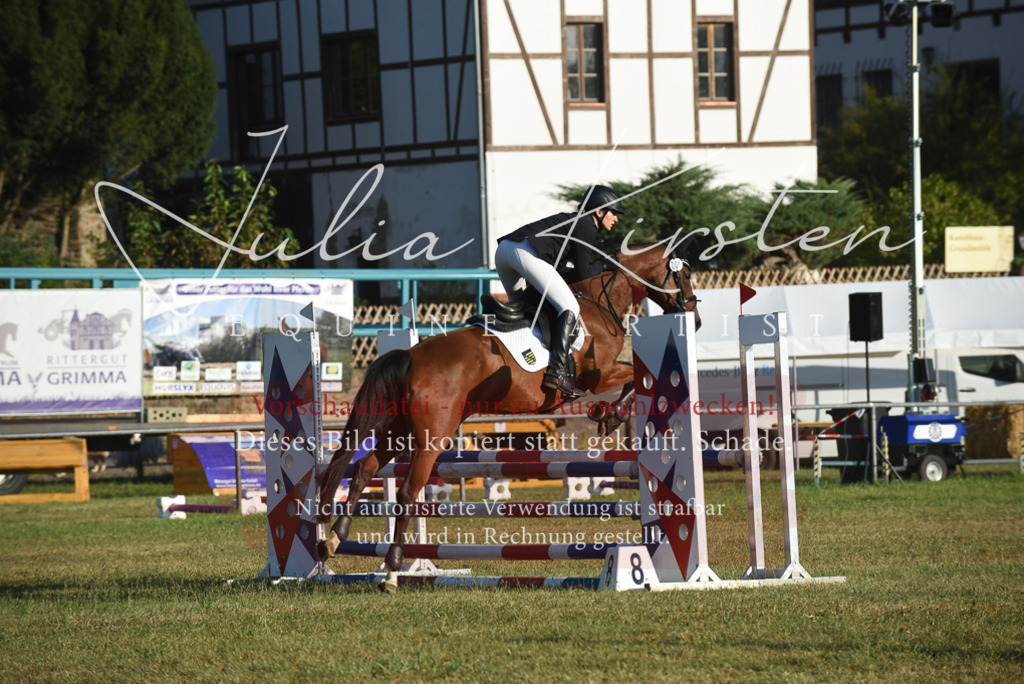 DSC_4871 | Pferde- und Turnierfotografie in Westsachsen. Pferdeportraits, Auftragszeichnungen und intuitive Kunst.
