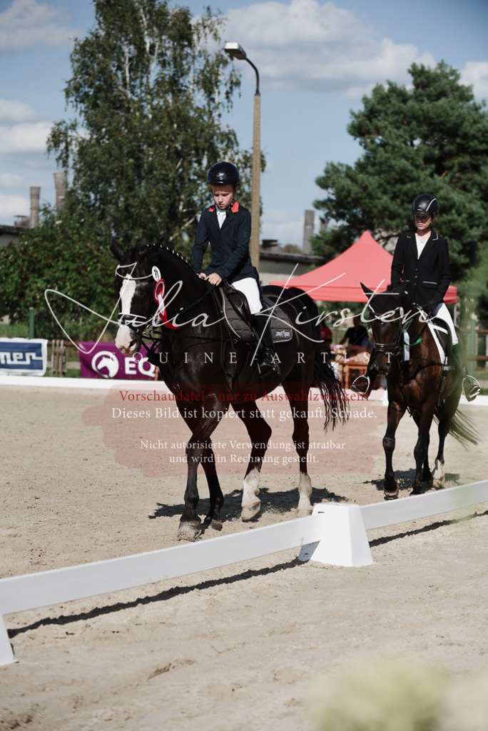 DSC_0231 | Pferde- und Turnierfotografie in Westsachsen. Pferdeportraits, Auftragszeichnungen und intuitive Kunst.