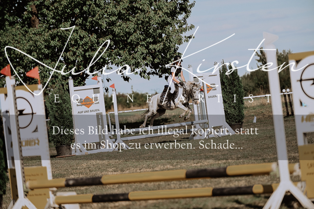 DSC_9428 | Pferde- und Turnierfotografie in Westsachsen. Pferdeportraits, Auftragszeichnungen und intuitive Kunst.