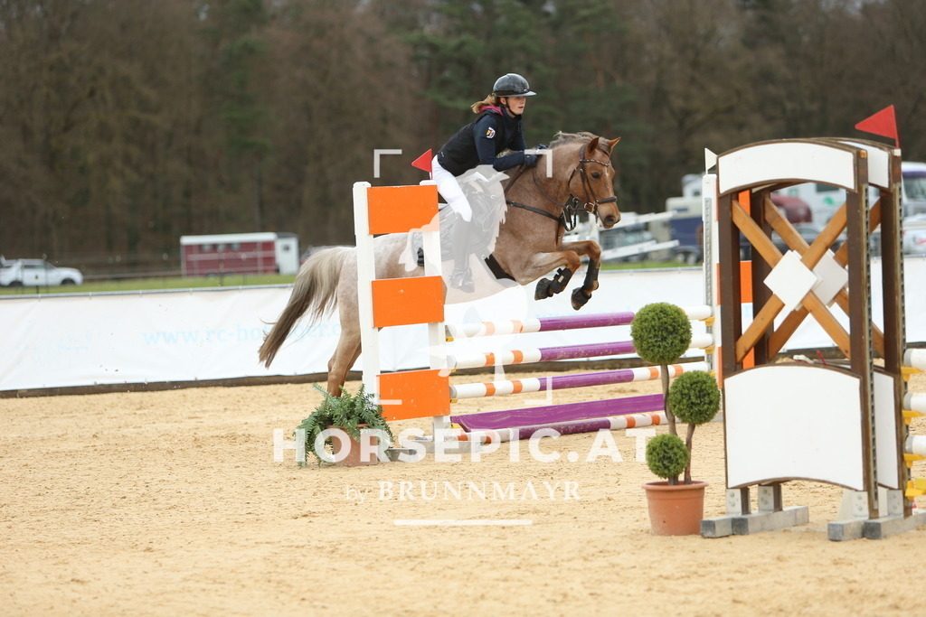 DL2Q1900 | Willkommen bei Brunnmayr - Design & Fotografie – Ihrem Spezialisten für Reitturniere und Pferdeveranstaltungen in Oberösterreich, Salzburg und Bayern! Seit über 17 Jahren sind wir leidenschaftlich dabei.