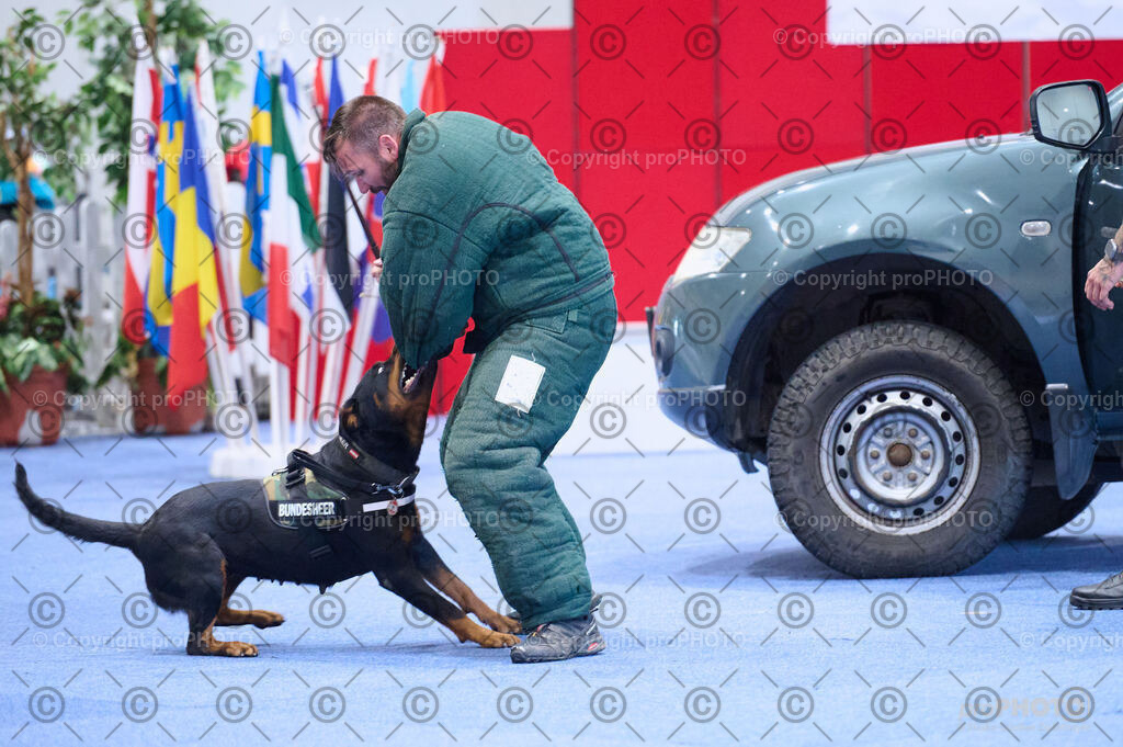 202406_ÖKV-IHA-Tulln24_DSC_2761 | proPHOTO - Realisiert mit Pictrs.com