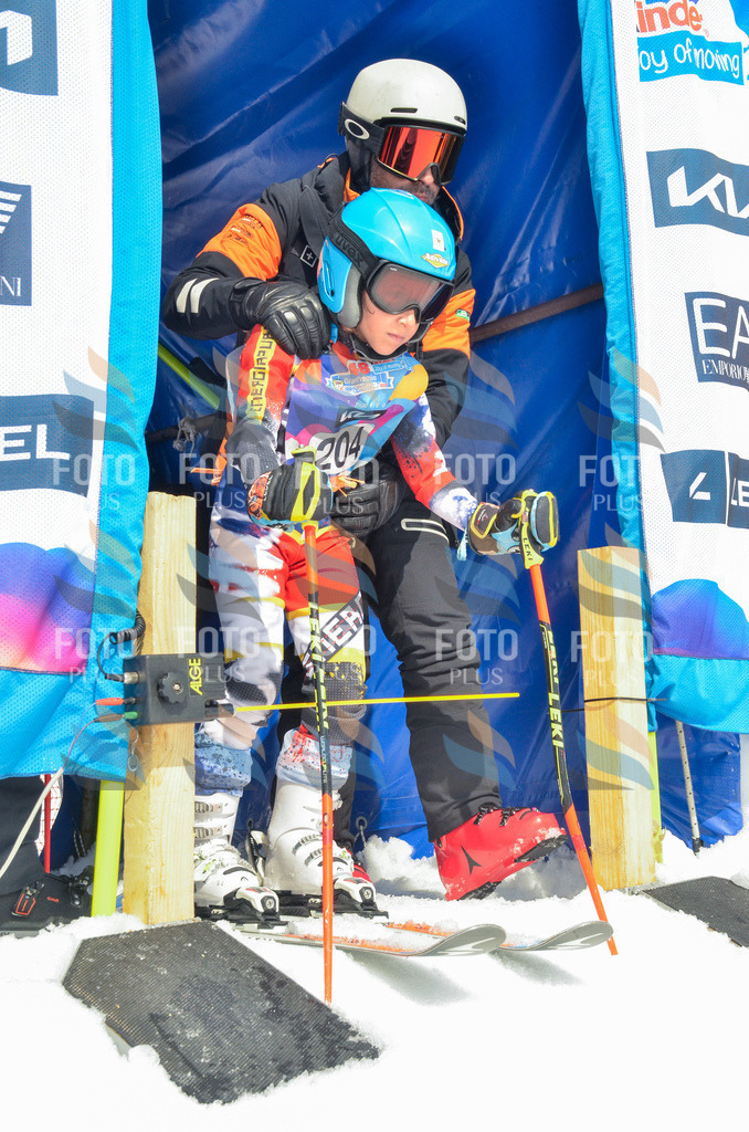 _ELE6956 | holidayphoto