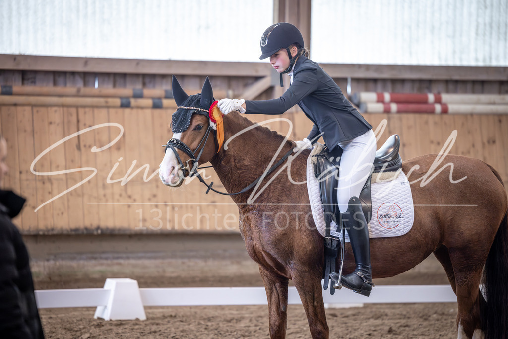 20251011-_3LI0682 | Tierfotografie Pferde, Hunde, Katzen, Haustiere.
Turnierfotografie Reitturniere, Reiten, Springreiten, Dressur in Hanau, dem Main-Kinzig-Kreis und dem Rhein-Main- Gebiet um Frankfurt