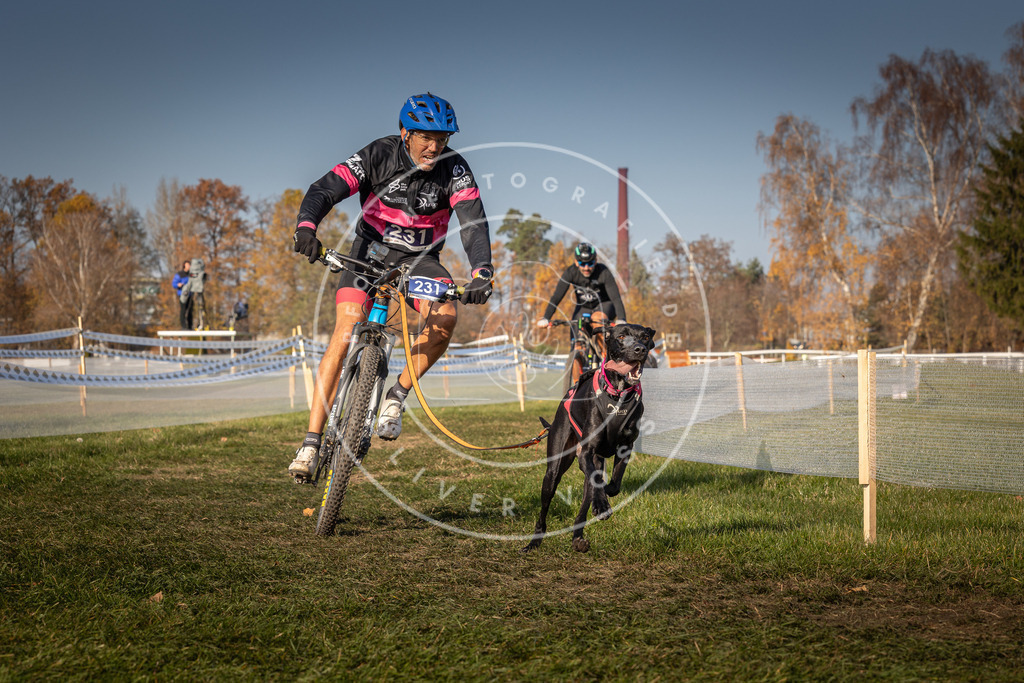 CaniXpix_0L8A7822 | Hundefotografie, Tierfotograf, Pfotenfotografie, Fotoshooting Hund, Hunde Portrait, Hundesport, Hundeportraits, Heideshooting, Hunde, Sportfotograf, Hundefotograf, Turnierhundsport, THS,  - Realisiert mit Pictrs.com
