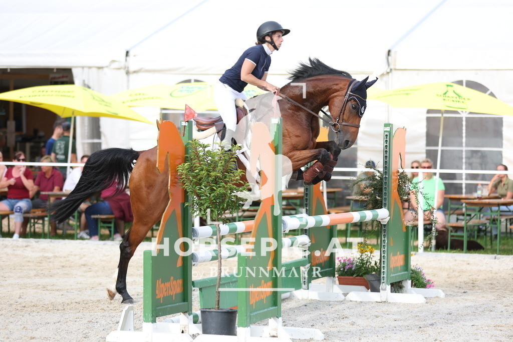 0P6A1947 | Willkommen bei Brunnmayr - Design & Fotografie – Ihrem Spezialisten für Reitturniere und Pferdeveranstaltungen in Oberösterreich, Salzburg und Bayern! Seit über 17 Jahren sind wir leidenschaftlich dabei.
