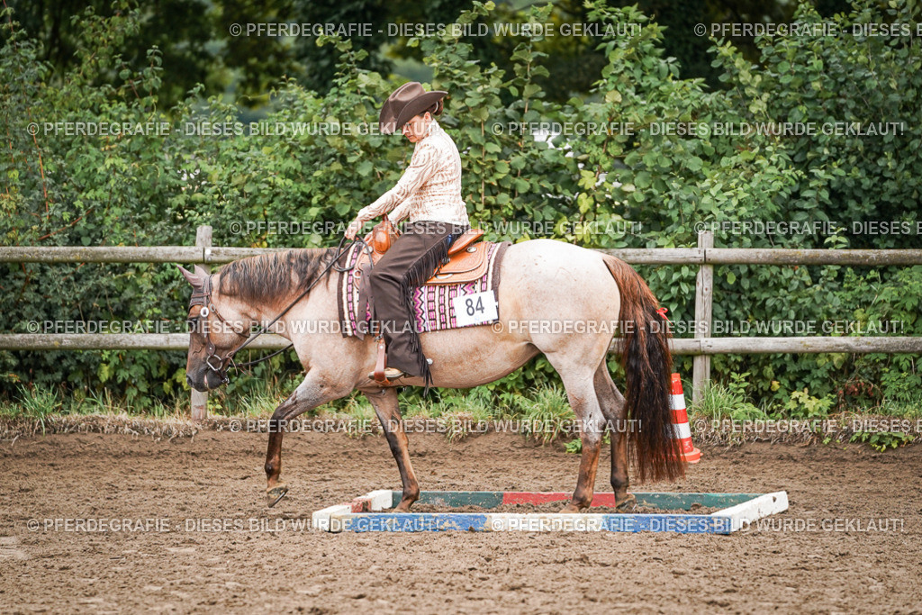 DSC03083 | Pferdegrafie