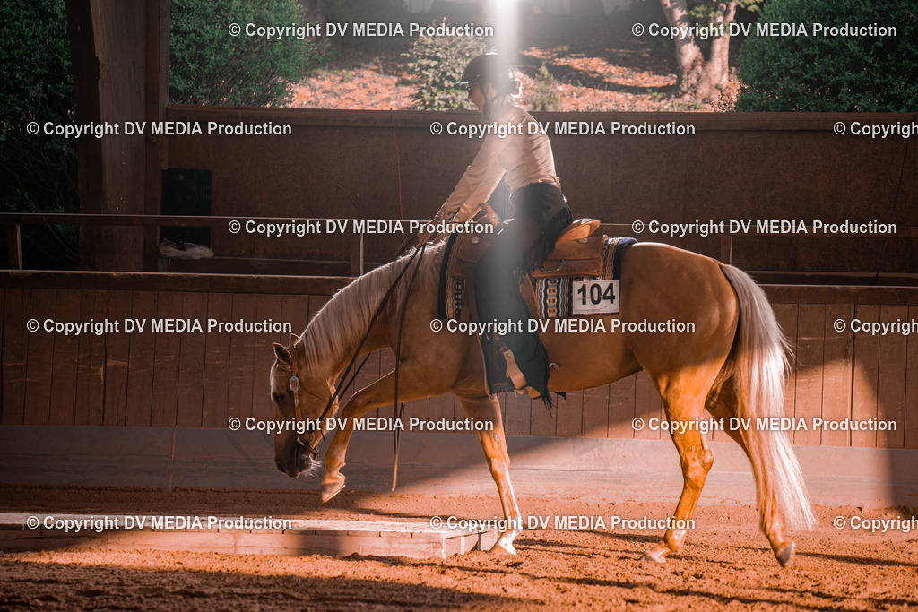 NE300015 | dv-media-shop - Realisiert mit Pictrs.com