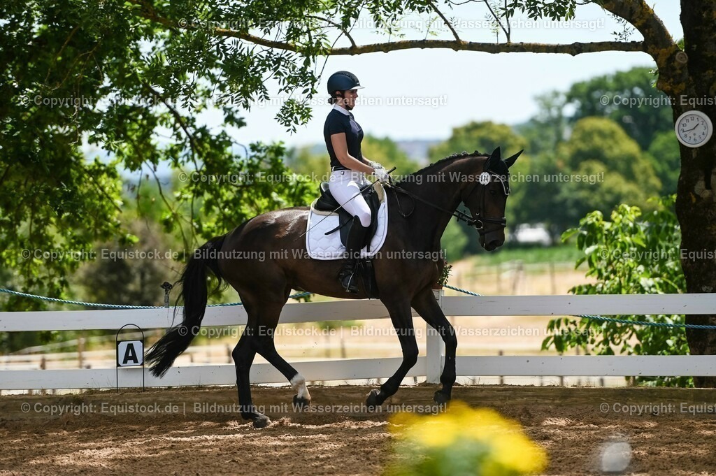 20230715_05_Dressurprüfung Kl.A++_0229 | equistock
