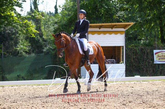 DKP42638 | Turniersportfotografie; Pferdefotografie; Dressurfotografie