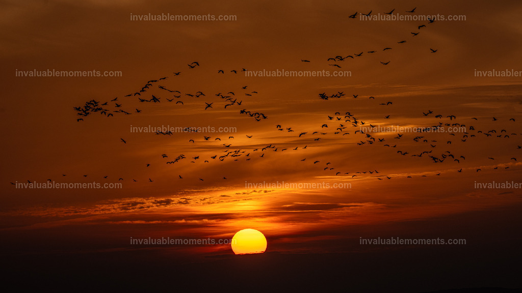 Rügen-3 | invaluablemoments.com - Realisiert mit Pictrs.com