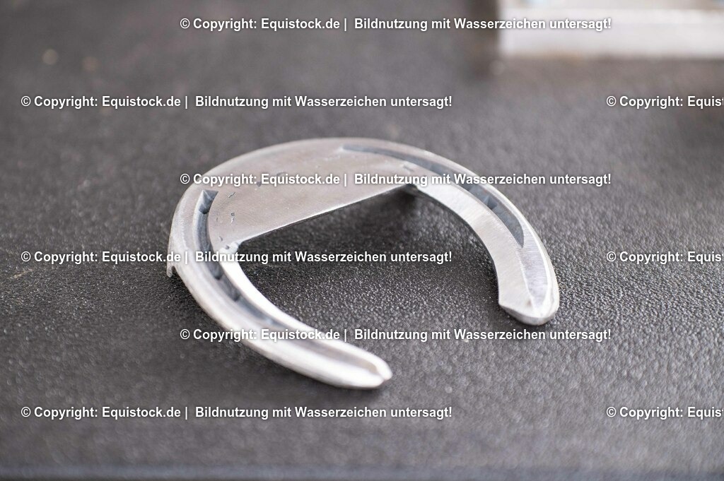 20210429_Spezialbeschlag_0003 | equistock