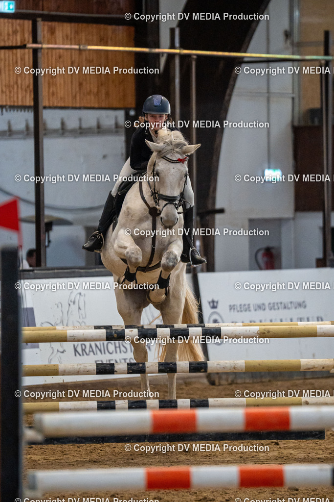 Kranichstein Tag 2-026 | dv-media-shop - Realisiert mit Pictrs.com