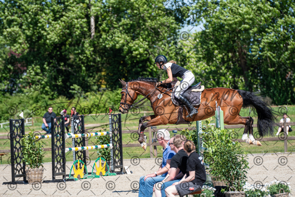 KPT_0835 | andre_photographic