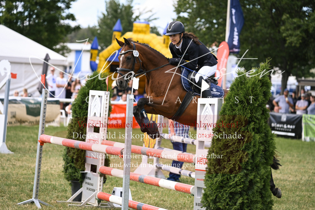 DSC_0660 | Pferde- und Turnierfotografie in Westsachsen. Pferdeportraits, Auftragszeichnungen und intuitive Kunst.